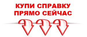 справка в Волгограде